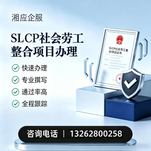 福建SLCP社会劳工整合项目申报服务