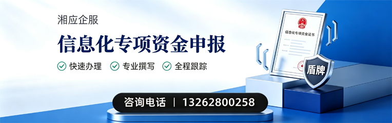 福建信息化专项资金申报服务