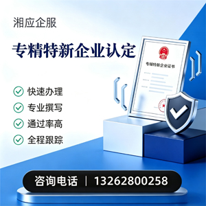 福建专精特新企业申报服务