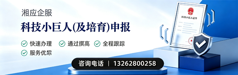 福建科技小巨人及培育企业申报服务