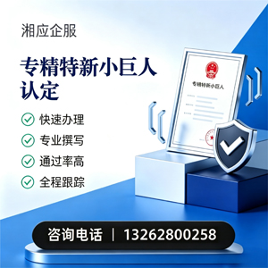 福建专精特新小巨人申报服务
