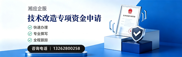 福建技术改造专项资金申报服务
