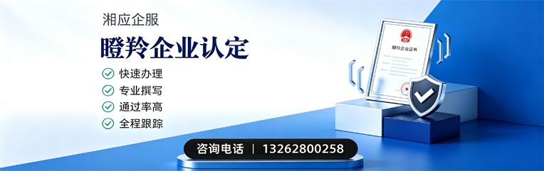 福建瞪羚企业认定申报服务