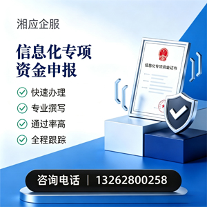 福建信息化专项资金申报服务