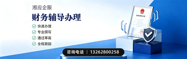 福建财务辅导申请服务