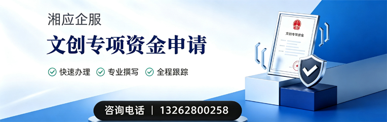 福建文创专项资金申报服务