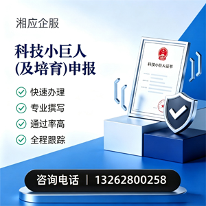 福建科技小巨人及培育企业申报服务