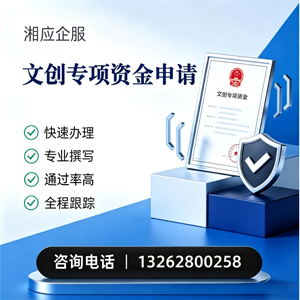 福建文创专项资金申报服务