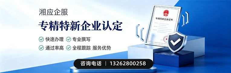 福建专精特新企业申报服务