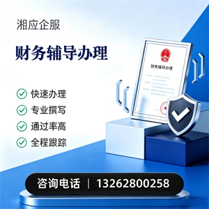 福建财务辅导申请服务