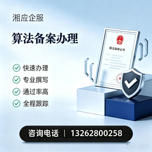 福建算法备案申报服务