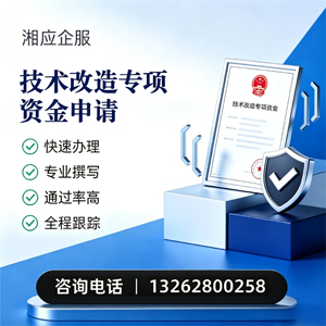 福建技术改造专项资金申报服务