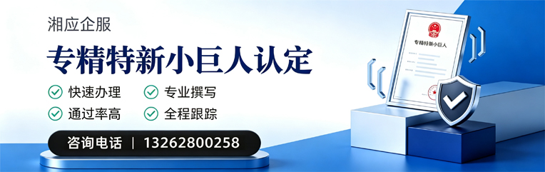 福建专精特新小巨人申报服务